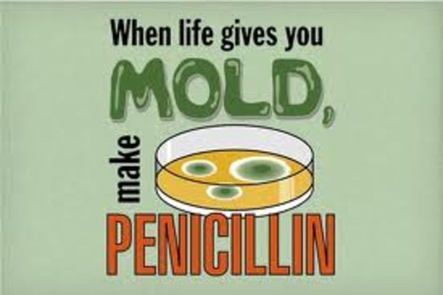Penicillin