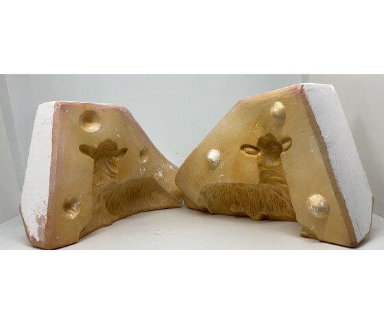 DIAMO FORMA AL NOSTRO AGNELLINO