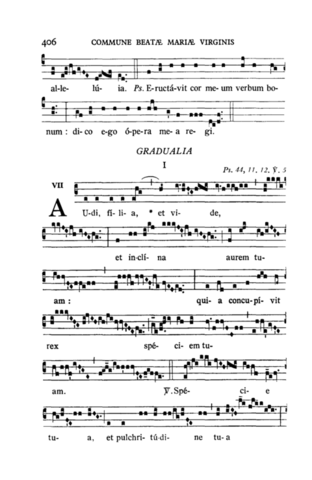 Audi filia, et vide: Juan de ávila