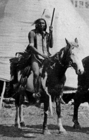 AMÈRICA: DE L'EXTINCIÓ A LA REPOBLACIÓ