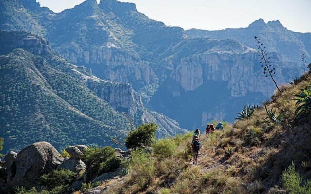 Proyecto Barrancas del Cobre.