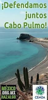 Proyecto Cabo Pulmo.