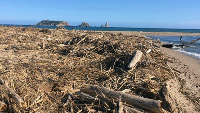 anem a netejar les destrosses del temporal Glòria