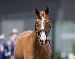 Prohibició de partida d'or