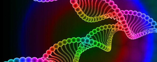 Rudolf Signor, Torbjorn Caspersson e Einer Hammarsten