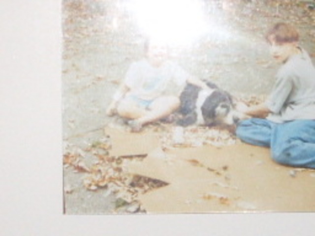 Emily's dog Shadrach dies