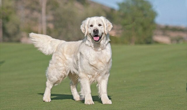 Va morir en Drum 💔