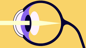 Aportacions òptica fisiologica