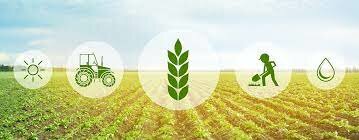 Food and Agriculture Act of 1977