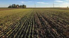 Timeline: Farm Bills