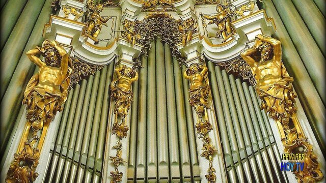 Organista a Linz