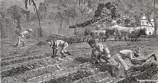 The Canarian society of the 16th century