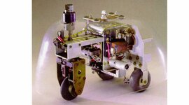 Timeline: tortue  cybernetique