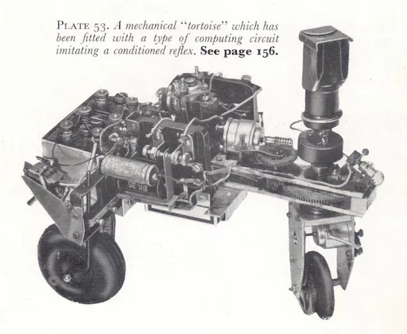 Les tortue cybernétiques