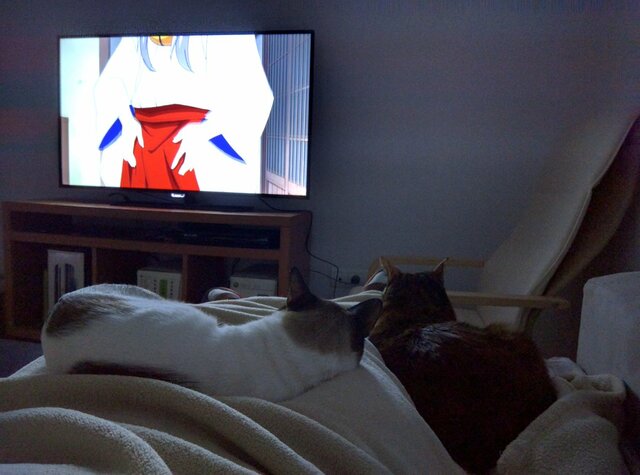 UNA HISTORIA QUE CONTAR