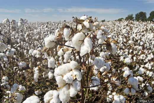 Washington arrives on outskirts of Boston with Continental troops