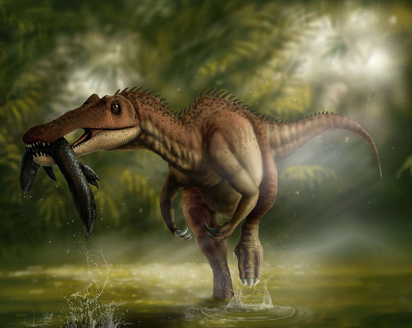 certaceous animal