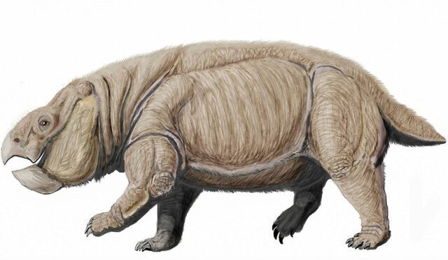 triassic animal