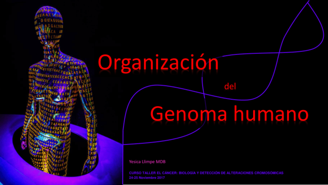 Organización del Genoma Humano (HUGO)