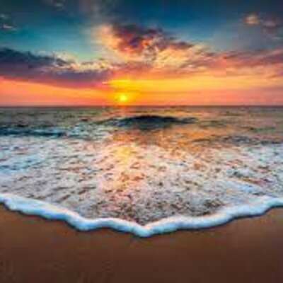 Timeline: LA MEVA VIDA