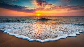 Timeline: LA MEVA VIDA