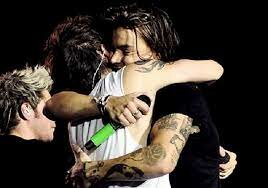 ultimo concerto con gli one direction
