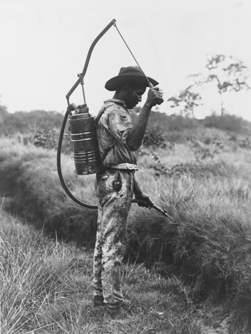 Yellow Fever Eradicated in Canal Zone