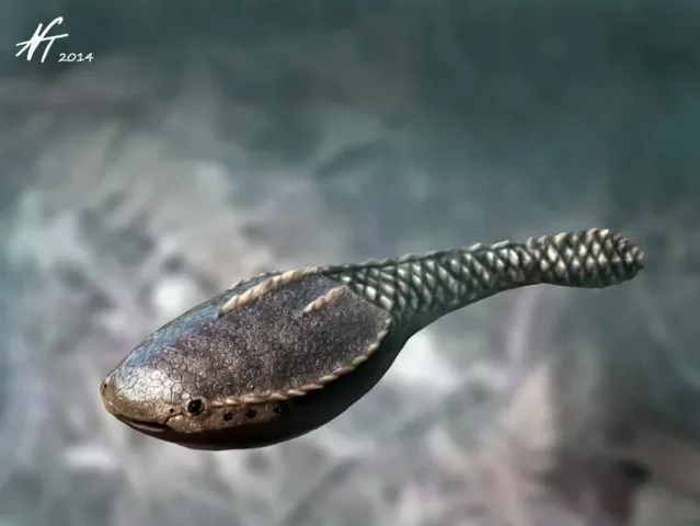 ordovician animal