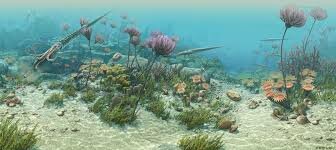 Ordovician plant life