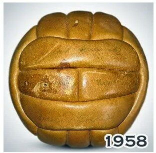 1958 World Cup, Sweden (Top Star)