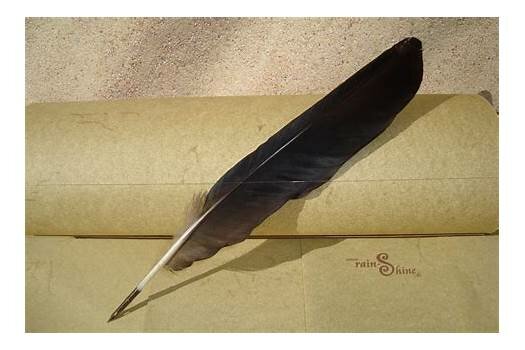 Penna