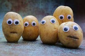 The Royal Society of London for Improving Natural Knowledge advocates the potato