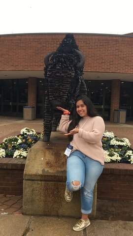 Transition to College