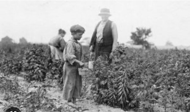 Historia de los Huertos