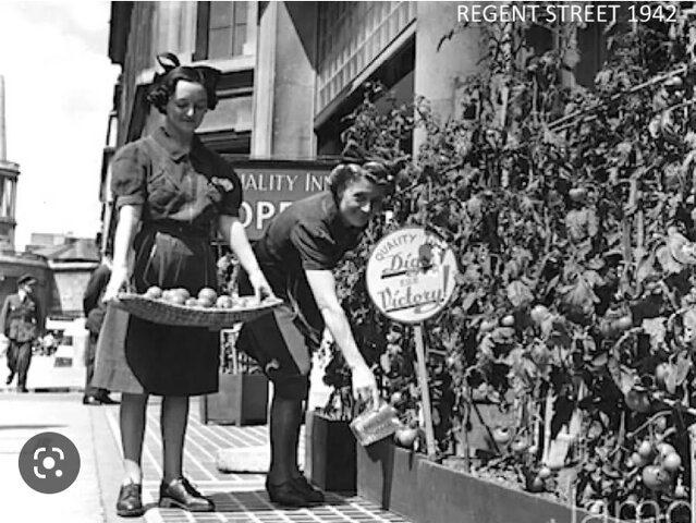 Historia de los Huertos