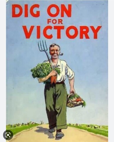 Historia de los Huertos