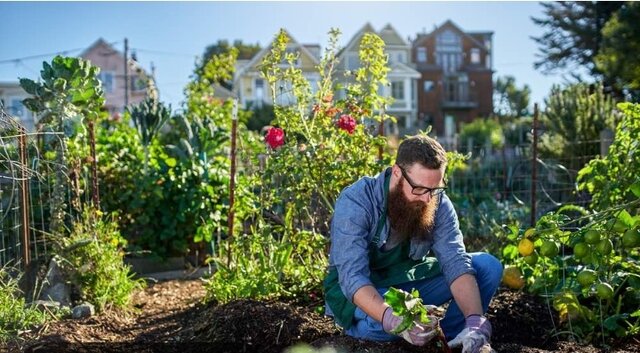 Historia de los Huertos