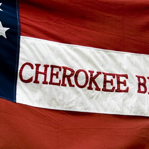 Confederacy signs treaties with Native Americans