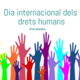 Dia internacional dels drets humans