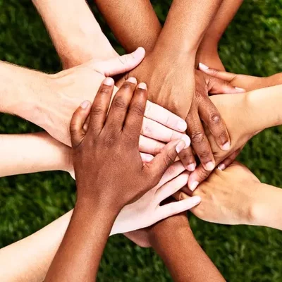 Timeline: Drets Humans