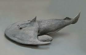 Devonian period organisms