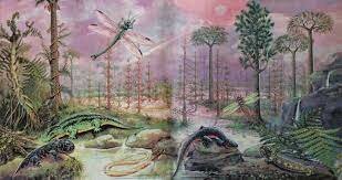 Carboniferous period organisms