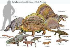 Permian Period Organisms