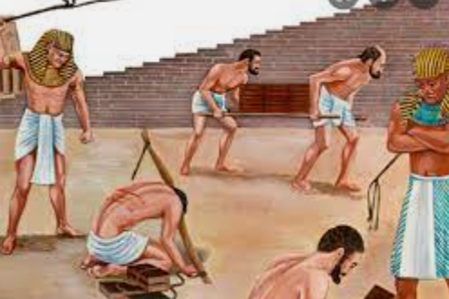 Triton mata a Jonatan Shimon se vuelve lider