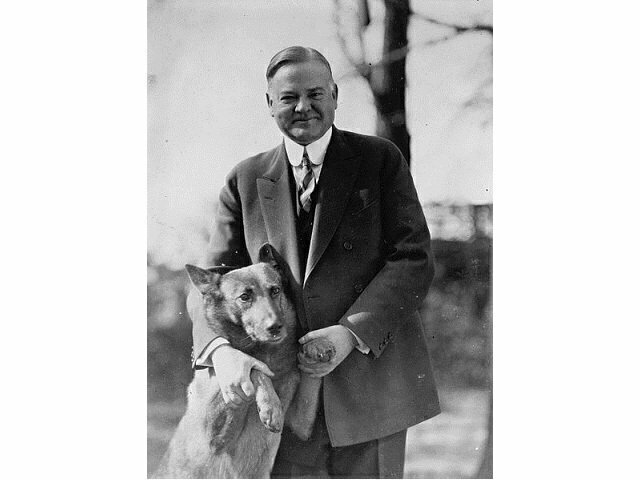 Animal in President
