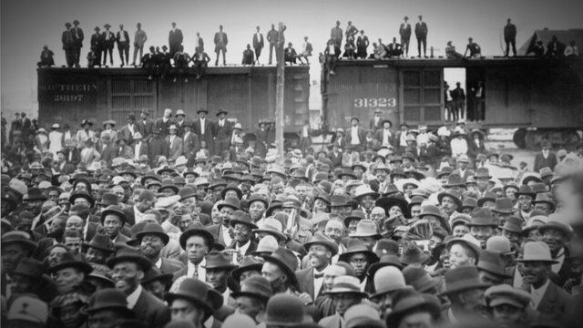 Mississippi Freedom Summer 🐄