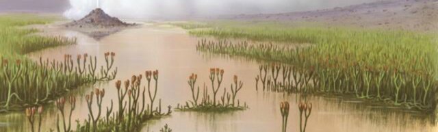 Silurian Period Plant