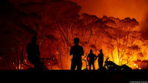 Australias on fire🔥