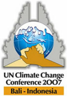 Bali Action Plan