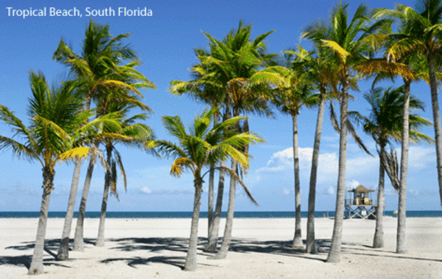 My first trip to Florida!